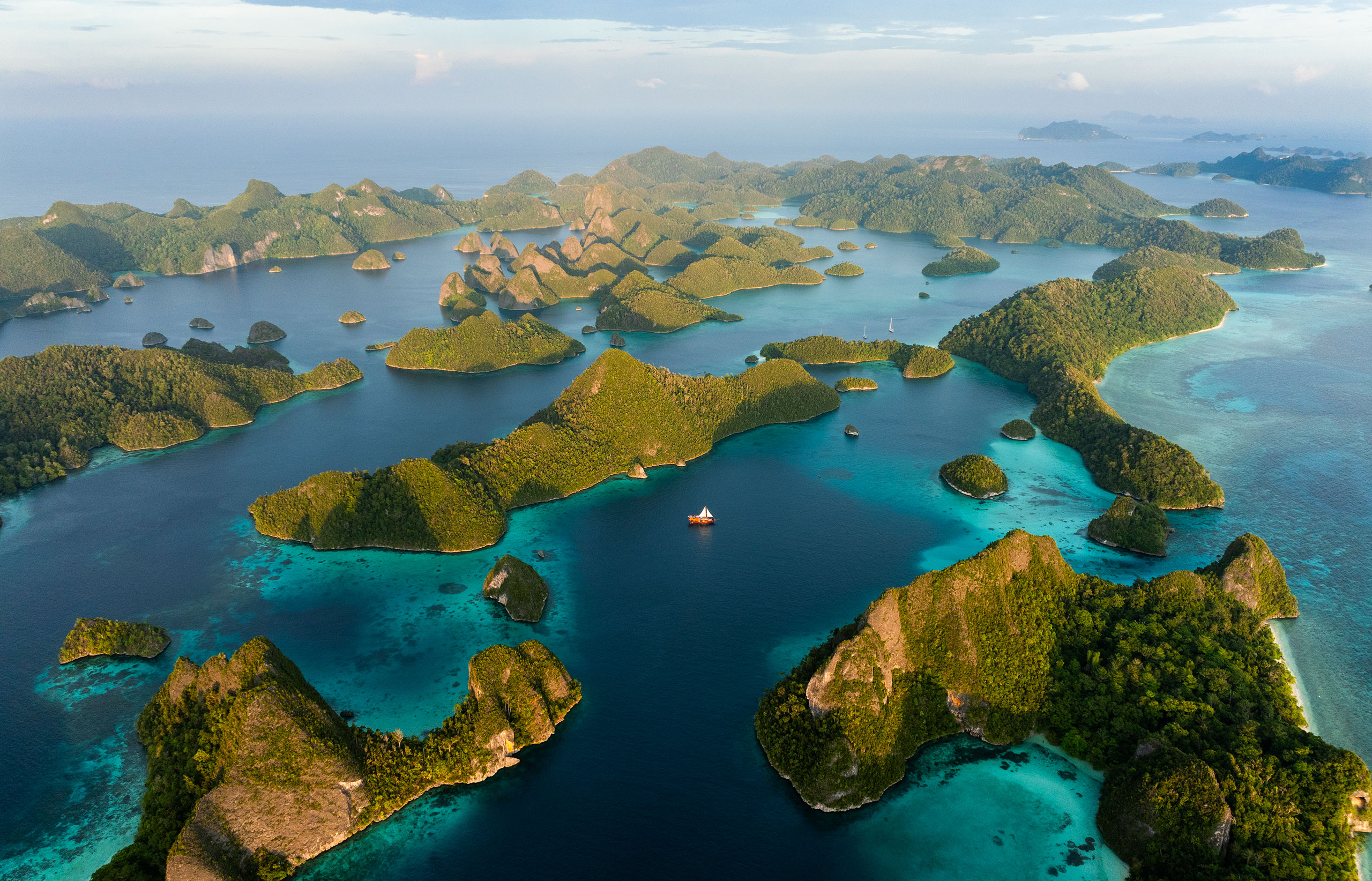 The Wild Raja Ampat